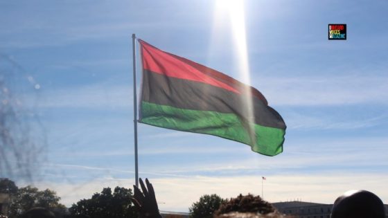 african liberation flag