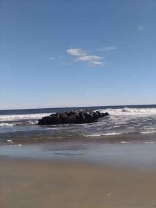 Good Morning from Asbury Park High School: December Events